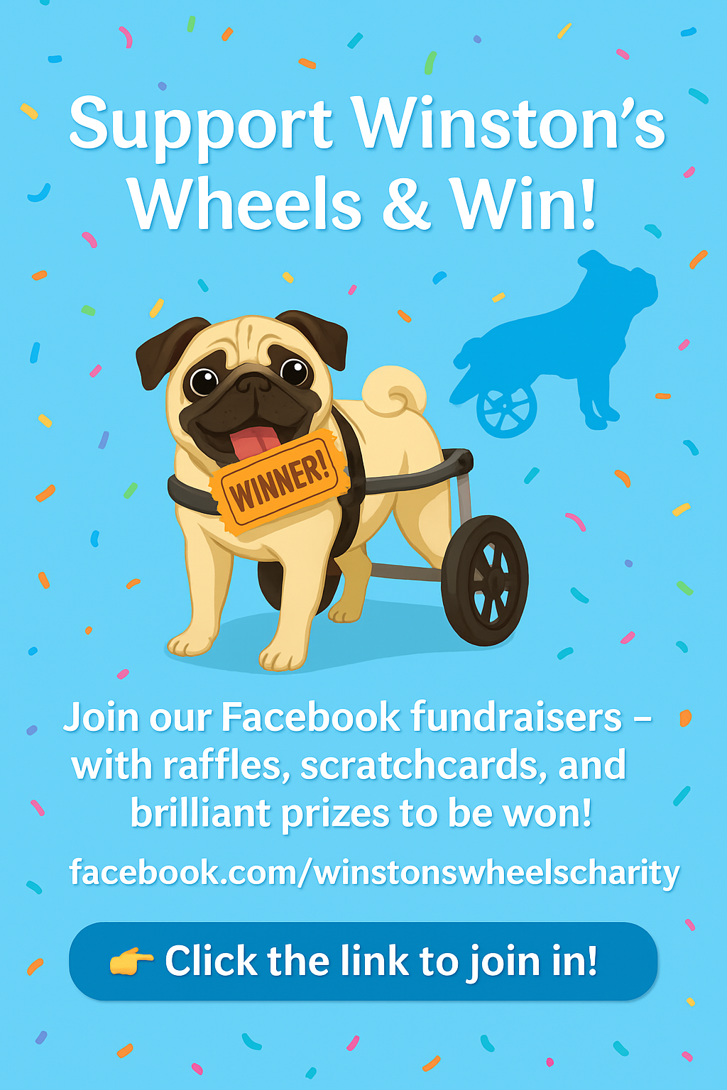 Raffle-ad-for-webpage-1.png
