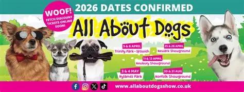 Dogs-Norfolk.webp