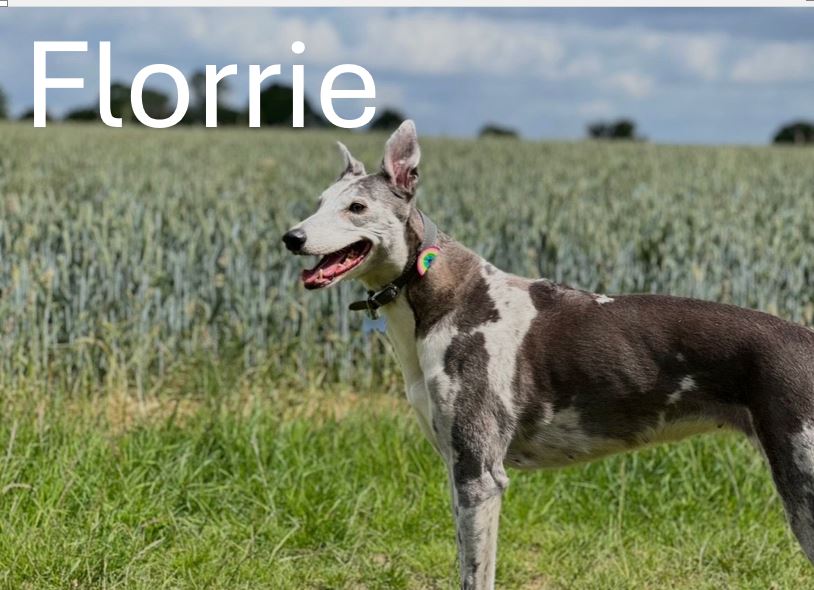 Florrie.jpg