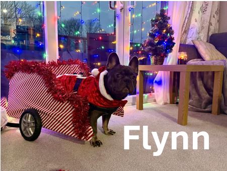 Flynn.jpg