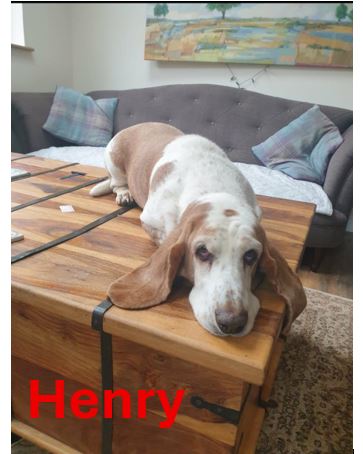 Henry.jpg
