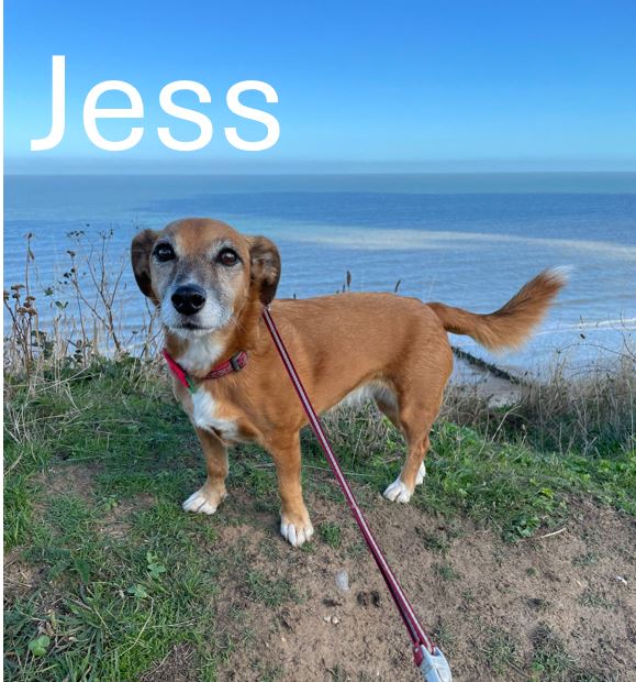 Jess.jpg