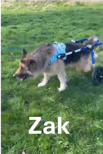 Zak.jpg