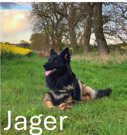 Jager.jpg
