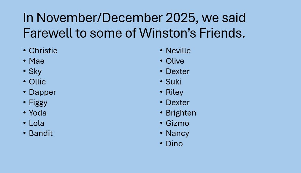 Summary-Nov-Decc.jpg