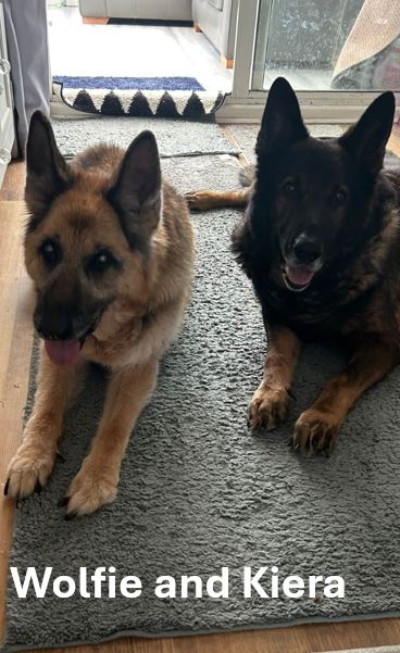 13.-Wolfie-and-Kiera.jpg