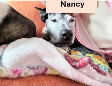 14.-Nancy.jpg