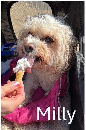 10.-Milly.jpg