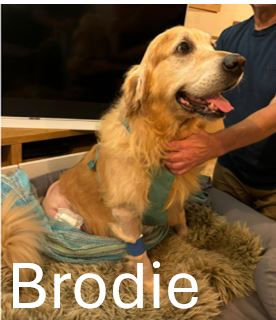 12.-Brodie.jpg