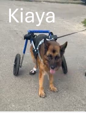 4a-Kiaya.jpg