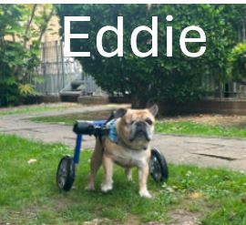 5.-Eddie.jpg