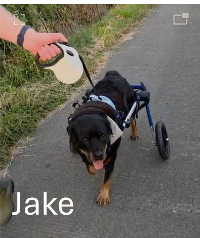 6.-Jake.jpg