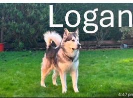 7.-Logan.jpg