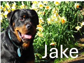 8.-Jake.jpg