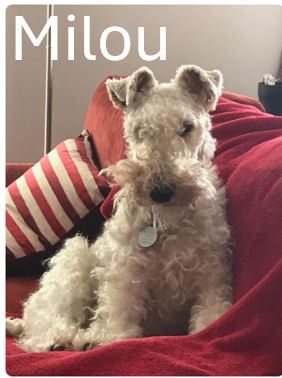 9.-Milou.jpg