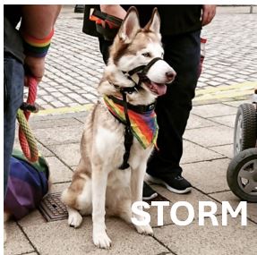 12.-Storm.jpg