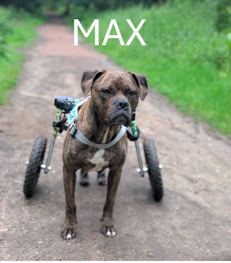 2.-Max.jpg