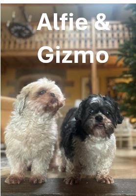 9.-Alfie-and-Gizmo.jpg