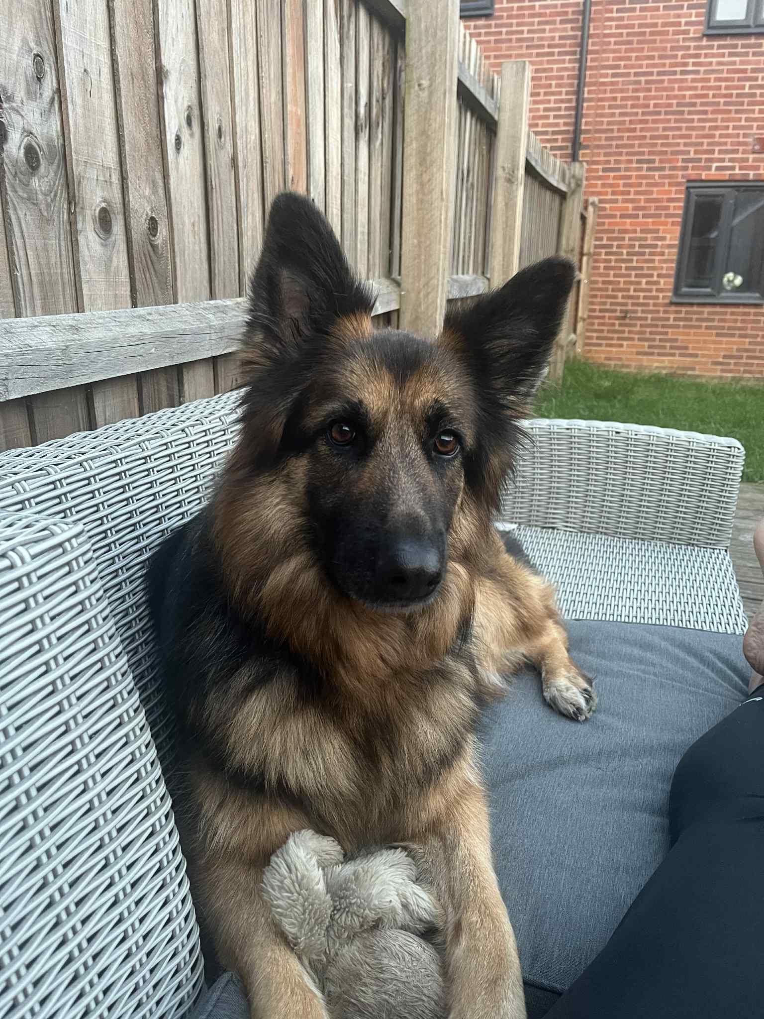 Shiloh-1.jpeg